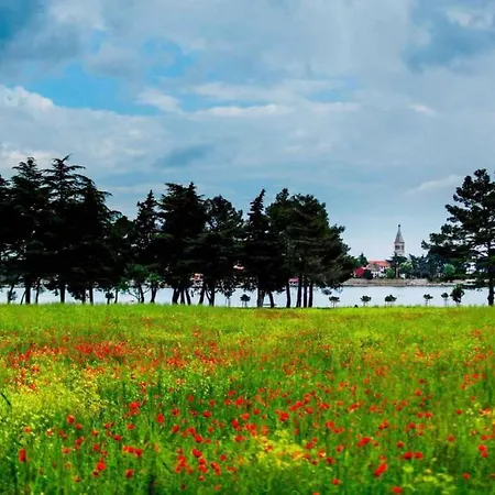 Apartment 1 Klenovica