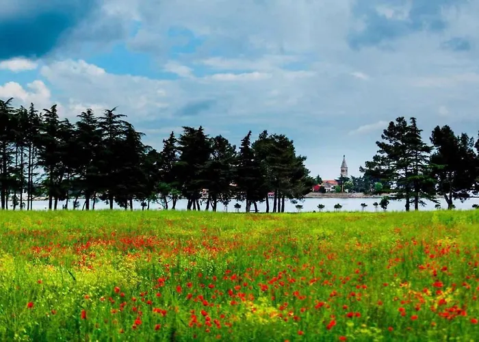 Apartman 1 Klenovica